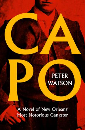 Cover of the book Capo by Henrik Rohdin
