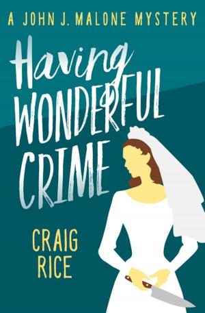 Cover of the book Having Wonderful Crime by Horst Friedrichs