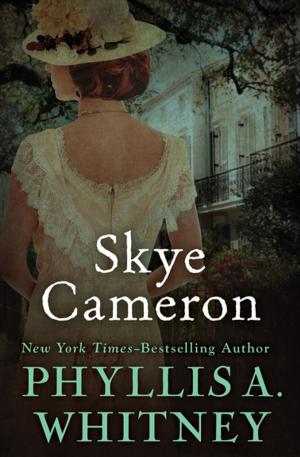 Cover of the book Skye Cameron by Maggie Davis