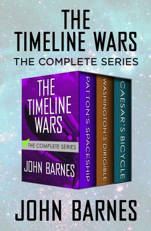 Cover of the book The Timeline Wars by Manju Kapur