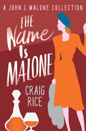 Cover of the book The Name Is Malone by Brett Halliday