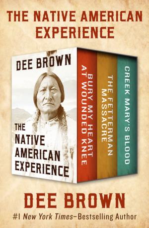 Cover of the book The Native American Experience by Carol Gorman