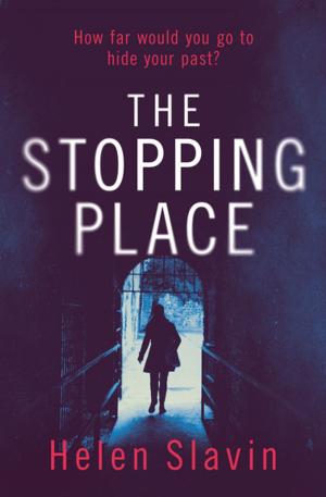 Book cover of The Stopping Place