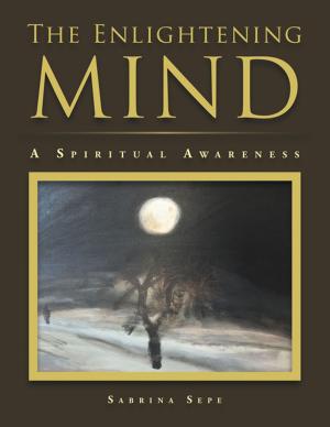 Cover of the book The Enlightening Mind by Stephan Kiyemba