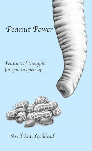 Cover of the book Peanut Power by Leanne Holitza