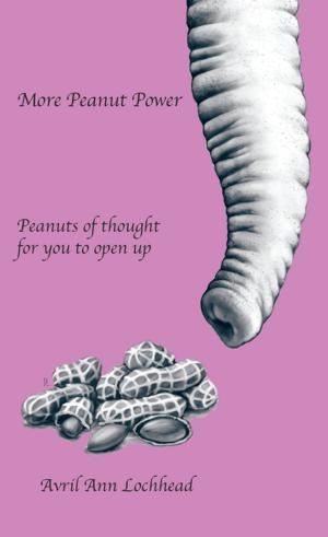 bigCover of the book More Peanut Power by 