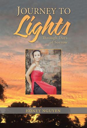 Cover of the book Journey to Lights by Denisa Stanislav