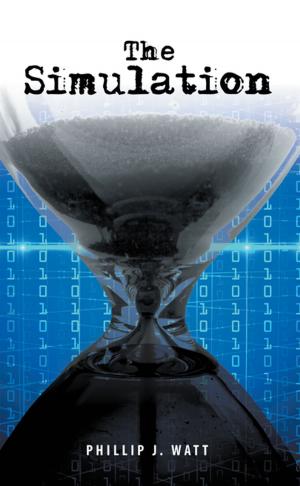 Cover of the book The Simulation by David. R. Smith