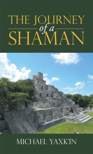 Cover of the book The Journey of a Shaman by Ashtar Tashi