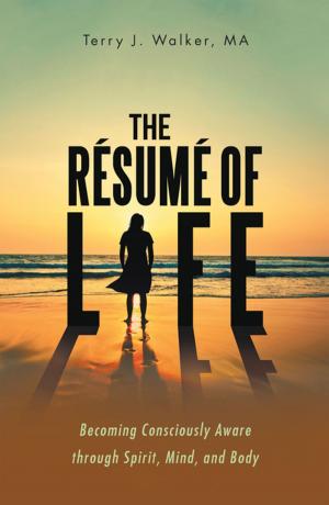 Cover of the book The Résumé of Life by Geila Jones