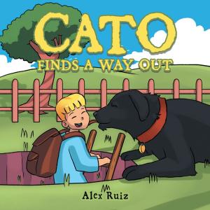 Cover of the book Cato Finds a Way Out by Sarah Ingmanson