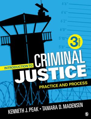 Cover of the book Introduction to Criminal Justice by Professor Mike Wallace, Professor Alison Wray