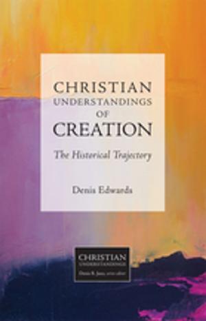 Cover of the book Christian Understandings of Creation by John W. de Gruchy
