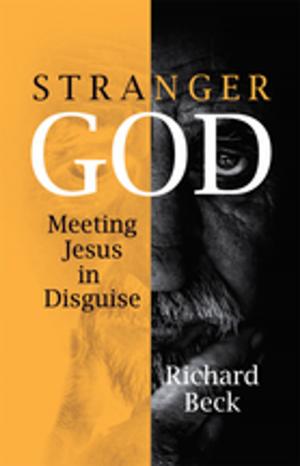 bigCover of the book Stranger God by 