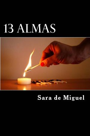 bigCover of the book 13 Souls by 