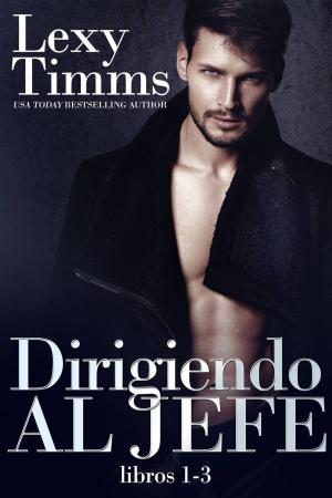Cover of the book Dirigiendo al Jefe by Kyle Richards