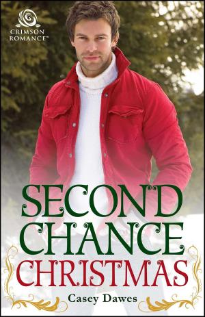 Cover of the book Second Chance Christmas by Kristina Knight, Elley Arden, M.O. Kenyan, Iris Leach, Kathryn Brocato, JM Stewart