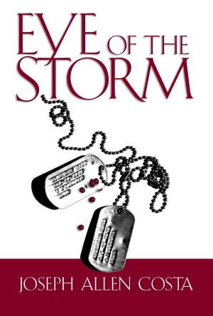 Cover of the book Eye of the Storm by Diane Van der Westhuizen