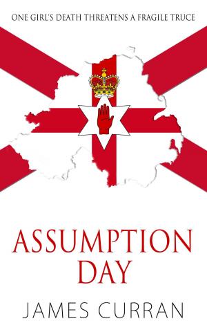Cover of the book Assumption Day by Colleen L. Donnelly