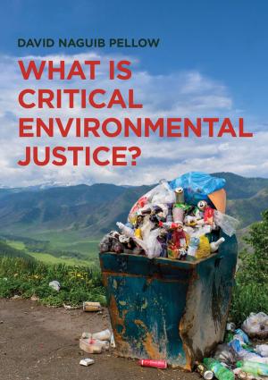 Cover of the book What is Critical Environmental Justice? by Barry Azzopardi, Donglin Zhao, Y. Yan, H. Morvan, R. F. Mudde, Simon Lo