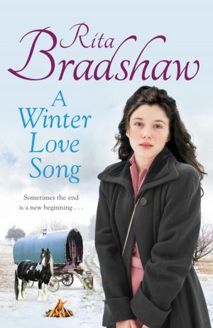 Book cover of A Winter Love Song