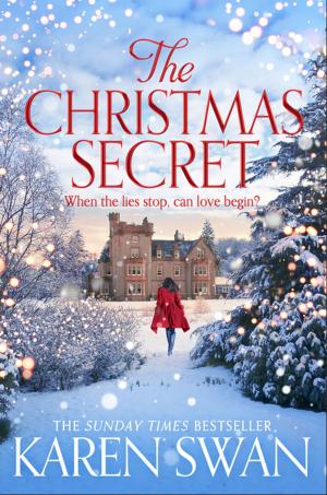 Book cover of The Christmas Secret