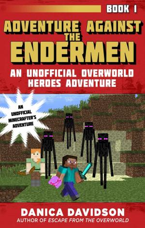 Cover of the book Adventure Against the Endermen by H. R. Karpes
