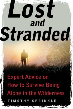 Book cover of Lost and Stranded