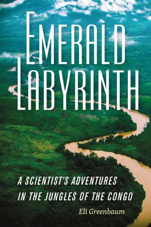 Cover of the book Emerald Labyrinth by Jerry Thornton