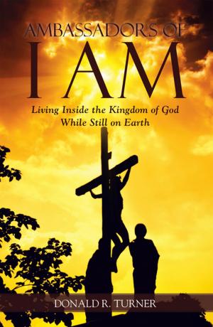 Cover of the book Ambassadors of I Am by I. B. Fury