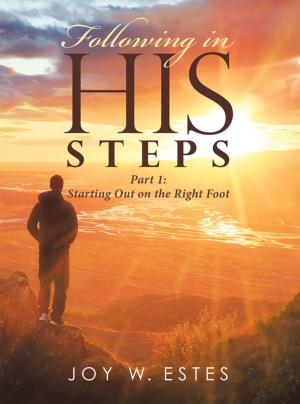 Cover of the book Following in His Steps by Barbara J. Moore