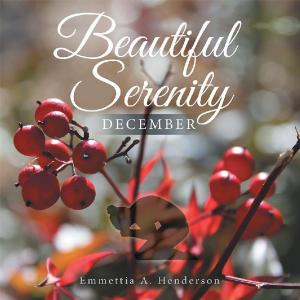 Cover of the book Beautiful Serenity by Victor Matthews PhD