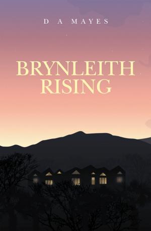 Cover of the book Brynleith Rising by P.B. Kroumova