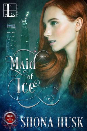 Cover of the book Maid of Ice by J.R. Ripley