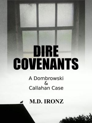 Cover of the book Dire Covenants by León Arsenal
