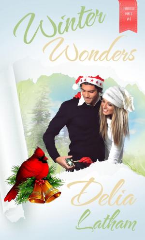 Book cover of Winter Wonders