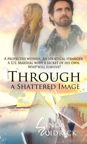 Cover of the book Through a Shattered Image by Buffy Andrews