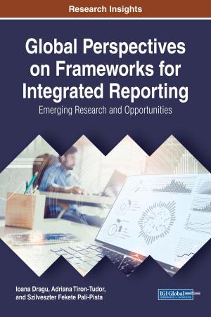 Book cover of Global Perspectives on Frameworks for Integrated Reporting