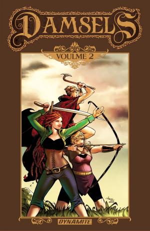 Cover of the book Damsels Vol. 2 by John Layman