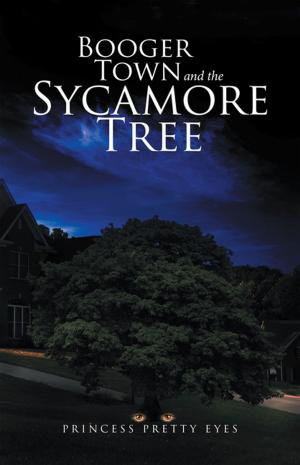 Cover of the book Booger Town and the Sycamore Tree by Willy Goellner