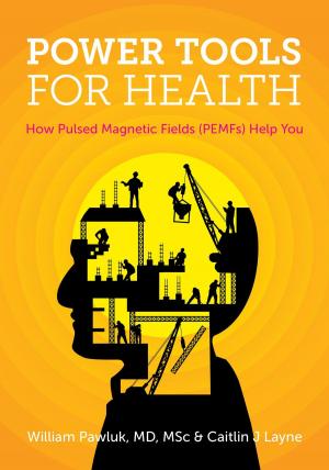 Cover of the book Power Tools for Health by Ib A. Larsen