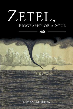 Cover of the book Zetel, Biography of a Soul by Dahlia Rodgers