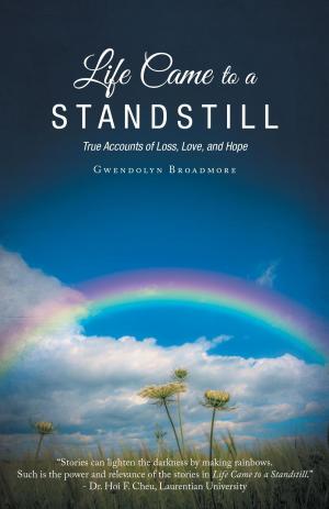 Cover of the book Life Came to a Standstill by Keith Braun