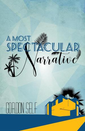 Cover of the book A Most Spectacular Narrative by Barry Tyrrell