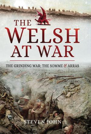 Cover of the book The Welsh at War by Ian F W Beckett