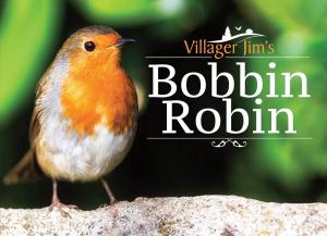 Cover of the book Villager Jim's Bobbin Robin by Peter Caygill