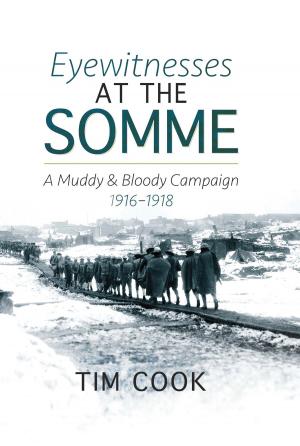 Book cover of Eyewitnesses at the Somme