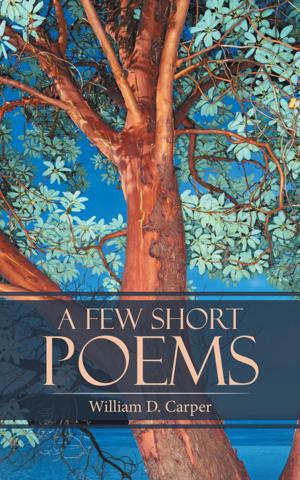 Cover of the book A Few Short Poems by Dave Tuttle