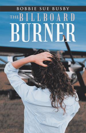 Cover of the book The Billboard Burner by Stephanie Woolard