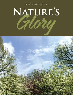 bigCover of the book Nature’S Glory by 